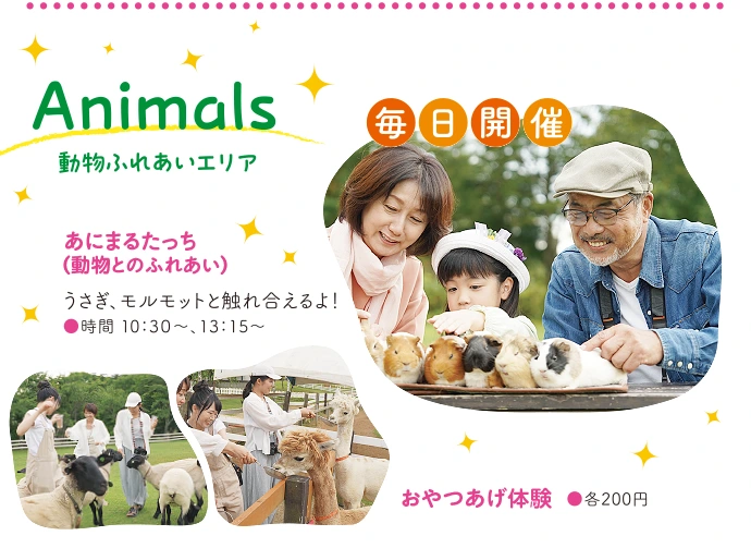 動物エリア - 「あにまるたっち」うさぎ、モルモットと触れ合える！ 「おやつあげ体験」もできる