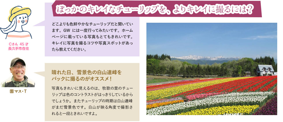 ぼっかのキレイなチューリップを、よりキレイに撮るには?