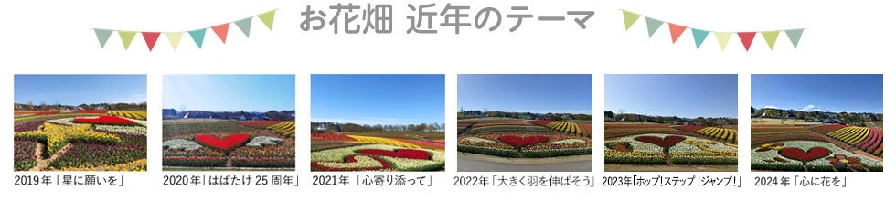 お花畑 近年のテーマ